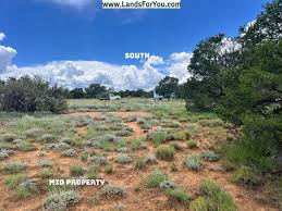 images?q=tbn:ANd9GcQsDAg79cHCYDkRWtMZrzDPEbBpfax_LtE-fA&s