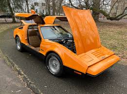 Image result for Safety Orange 1976 Bricklin