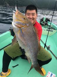 釣具のポイント