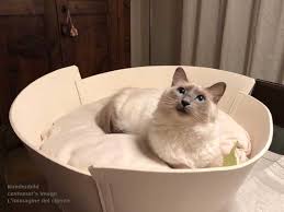 Handmade felt cat bed of 100% wool. Modern Cat Beds Made From Leather Or Felt In Best Quality