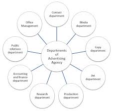 Image Result For Creative Agency Structure Organizational