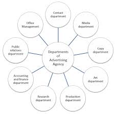 Image Result For Creative Agency Structure Organizational