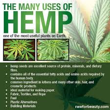 Pin On Cannabis Hemp