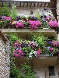Pin On Flowered Windows Balconies