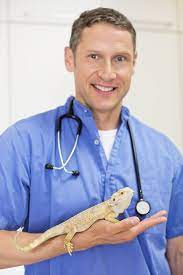 Providing care for exotic pets since 2006. Pennsylvania Exotics Veterinarians