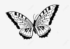 ilustrasi kupu kupu indah hitam putih kupu kupu hitam dan putih ilustrasi kartun ilustrasi kupu kupu png transparan gambar clipart dan file psd untuk unduh gratis ilustrasi kupu kupu indah hitam putih