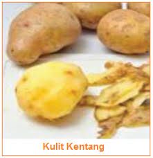 Nah itulah empat klasifikasi sayuran berdasarkan pigmen yang dikandung. Kandungan Dan Manfaat Kulit Kentang Daun Wortel Kulit Bawang Melinjo Batang Daun Brokoli Talas Kandungan Manfaat Bagian Hasil Samping Sayuran
