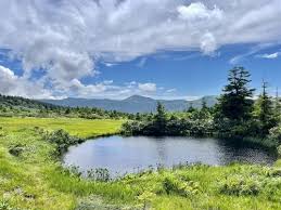 Image result for Hakkoda Walk