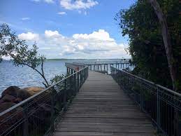 Scenic Coastal Boardwalk At Chek Jawa Mangrove Swamp Wetland Tourist Destinations