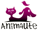 Achetez en toute confiance et sécurité sur ebay! Avis Animaute Tous Les Avis Clients Pour Animaute