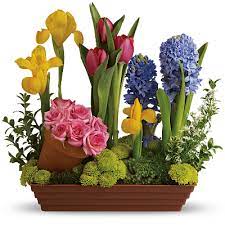 Check spelling or type a new query. Wedding Anniversary Gift Ideas Teleflora