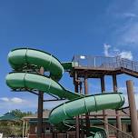 FREE Pool Day at Cook Creek (Lone Tree Residents)