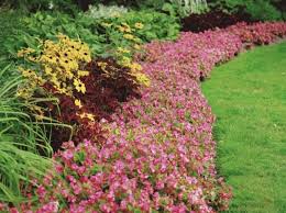 Garden Design Casey Garden Services Narre Warren Botanic Ridge