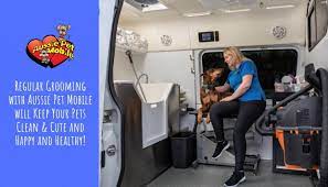 That's why we never use cages, kennel. Regular Grooming With Aussie Pet Mobile Will Keep Your Pets Clean Cute And Happy And Healthy Aussie Pet Mobile Greater Nashville Middle Tn