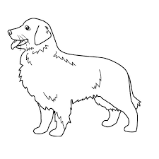 image associee chien coloriage a colorier chiot wonder woman livre de film