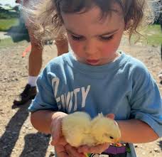 Farm School: 10 Amazing Things You'll Learn