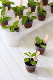 Potted Plant Chocolate Puddings Chocolate Pudding Food Art Desserts