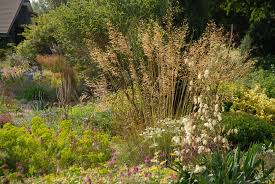 Graser Spielen Auch Im Garten Von Beth Chatto Eine Grosse Rolle Sie Finden Im Kiesgarten Ebenso Verwendung Wie Im Feuchten Stauden Kiesgarten Gartengestaltung