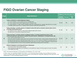 Accurate radiological staging of ovarian cancer is very important in guiding key patient. Initial Clinical Management Of Ovarian Cancer Ppt Download
