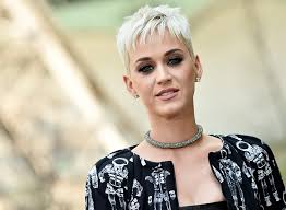 Katheryn elizabeth hudson (born october 25, 1984), known professionally as katy perry, is an american singer, songwriter, and television judge. Everything We Know About The Katy Perry Sexual Assault Allegations