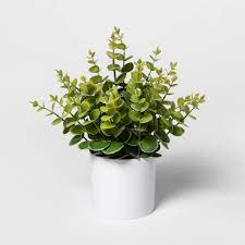 All varieties have been preserved to ensure they will not wilt in the same way living plants would. 12 X 10 Artificial Eucalyptus Plant Arrangement In Pot White Project 62 Target