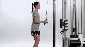 Tricep V-Bar Press Downs