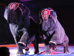 Find garden brothers circus schedule, reviews and photos. Circus Brings Three Ring Show To Columbiana Shelby County Reporter Shelby County Reporter