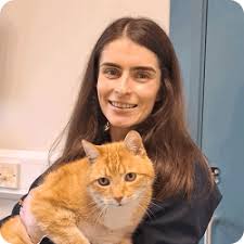 Our Small Animal Team