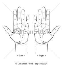 Palmistry Or Chiromancy Chart Blank Template Isolated On White Background Vector Illustration
