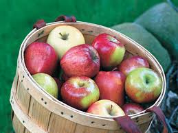 How To Grow No Spray Organic Apples Finegardening