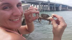 Jennifer Brobst (@brobst8)