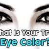 Did you know that every person who has blue eyes comes from the same ancestor? 1