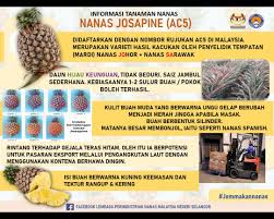 Lembaga perindustrian nanas malaysia's profile is incomplete. Adplbgywht93lm
