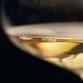 Thirsty Thursday Wine Tastings event in Hilton Head Island, SC