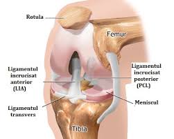 Medicul specialist face o serie de investigatii pentru a determina cauza care provoaca durerea de calcaie, iar acestea au caracter progresiv, cu scopul de de ce ma dor calcaile. Cele Mai Frecvente 10 Cauze Ale Durerilor De Genunchi Durere De Flexie La Genunchiul Stang