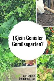 Knapp Daneben Ist Auch Verfehlt Ursachen Fur Keinen Genialen Gemusegarten Gemuse Bio Balkon Gartnern Garten Garten Gemusegarten Anlegen Gemuseanbau