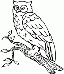 Burung garuda yang juga menjadi lambang dari pancasila ini memiliki karakter yang kokoh. 9 Sketsa Gambar Burung Terbaik Terlengkap