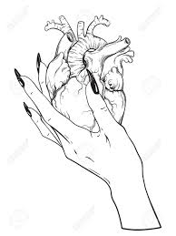 Check spelling or type a new query. Human Heart In Graceful Female Hand Isolated Sticker Print Or Blackwork Tattoo Hand Drawn Vector Illustration Royalty Free Cliparts Vectors And Stock Illustration Image 74662567