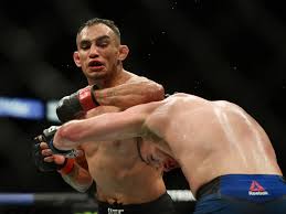 Edson barboza matt schnell vs. Ufc 256 Charles Oliveira Vs Tony Ferguson Picks Odds And Predictions Sports Chat Place