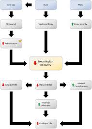 Economic Impact Of Traumatic Spinal Cord Injuries In The