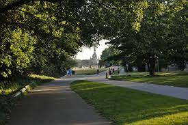 Nur hat der gesetzgeber die änderung der klimatischen. Legale Grillplatze Und Lagerfeuerstellen In Dresden So Lebt Dresden