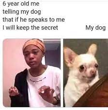 99 Memes For The Expert Procrastinators Really Funny Memes Funny Animal Jokes Crazy Funny Memes