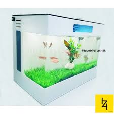 Ikan hias berikutnya adalah ikan guppy, ikan ini disebut sebagai jenis ikan hias tawar yang paling cantik. Jual Aquarium Ikan Aquarium Cupang Aquarium Mini Akrilik Murah 04 Kota Yogyakarta Izi Cell Tokopedia
