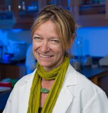 Meet Karyn Hamilton, Health and Exercise Science Professor