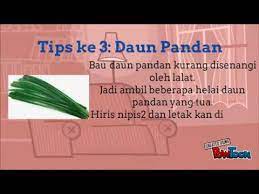 Selamat datang kembali di artikel kami. Cara Cara Mudah Menghalau Lalat Youtube