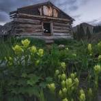 I wish I could hear these cabin walls talk. Oh the stories ...