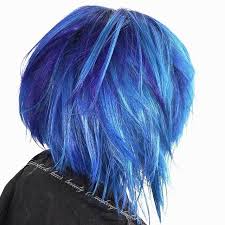 Blue Hair Cobalt Wild Blue Violet Hair Violet Hair Colors Violet Hair Hair Color Shades