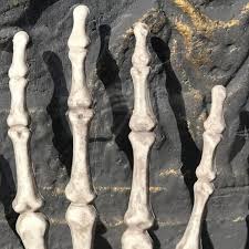 Pantaslah, pasalnya kelas ini memang tengah mengusung tema halloween yang terkenal seram itu. 1 Pasang Dekorasi Halloween Realistis Ukuran Hidup Skeleton Tangan Plastik Palsu Manusia Tulang Tangan Partai Zombie Teror Menakutkan Alat Peraga Partai Dekorasi Diy Aliexpress
