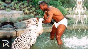 We did not find results for: How Mike Tyson S Net Worth Took Such A Big Hit