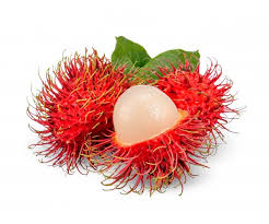 I thought it was kind of interesting making. Premium Vector Rambutans Infographic Template